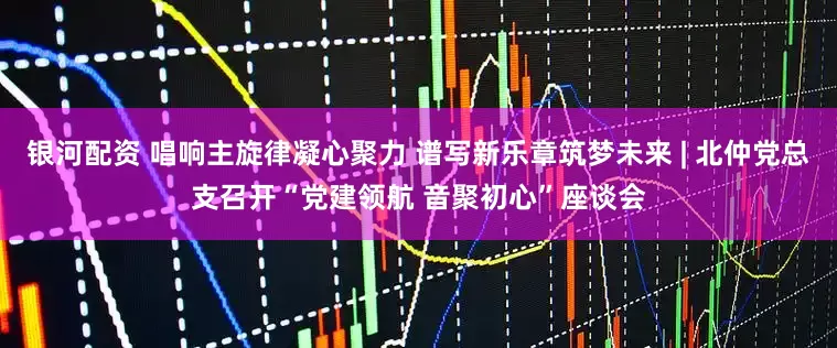 银河配资 唱响主旋律凝心聚力 谱写新乐章筑梦未来 | 北仲党总支召开“党建领航 音聚初心”座谈会